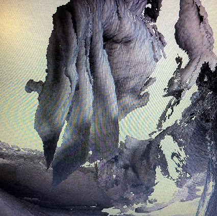 Interrupted 3D scan by artist Paul Coombs